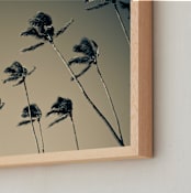 "island palms no.1" - Art Print in sky by Monica Gussow - Frame Close-up
