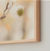 "under the sweetgum tree" - Art Print in peach cobbler by Alicia Abla - Frame Close-up