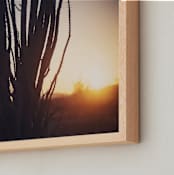 "Joshua Tree Sunrise 1" - Art Print in Golden Sunlight by Tibrina Hobson - Frame Close-up