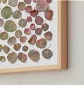 "Fallen Eucalyptus" - Art Print in Spring by Krissy Bengtson - Frame Close-up