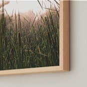 "Morning Light Liam" - Art Print in Morning Light by K.Short - Frame Close-up