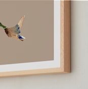 "Mallards in Flight 2" - Art Print in Neutral by Anee Shah - Frame Close-up