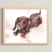 "Weiner dog with a nose full of snow" - Art Print in weiner dog by XL - Framed