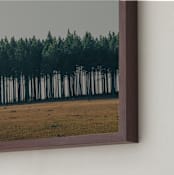 "Moody Trees" - Art Print in Pine by Zani van Zyl - Frame Close-up