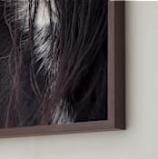 "Bucker" - Art Print in Wild Black by Leslie Le Coq - Frame Close-up
