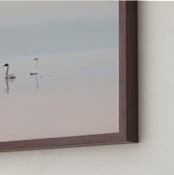 "Sunrise Quartet" - Art Print in Blush Pink by Corrina Reid - Frame Close-up