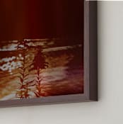 "Illusive" - Art Print in Coffee by Lindsay Megahed - Frame Close-up