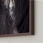 "Bucker" - Art Print in Wild Black by Leslie Le Coq - Frame Close-up
