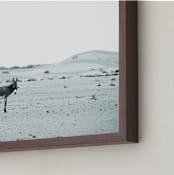 "We live here" - Art Print in Grey Scale by Claudia Orengo - Frame Close-up