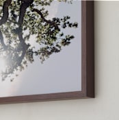 "Elegant Oak Tree" - Art Print in Baby Blue by Wilder California - Frame Close-up