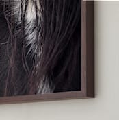 "Bucker" - Art Print in Wild Black by Leslie Le Coq - Frame Close-up