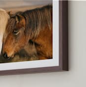 "Icelandic Horses II" - Art Print in Golden by Crystal Lynn Collins - Frame Close-up