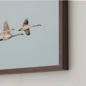 "Evaporate" - Art Print in Warm Sunrise by Leaves of Ash - Frame Close-up