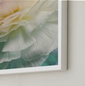 "Delicate Ranunculus Flower" - Art Print in Blue by Elena Kulikova - Frame Close-up
