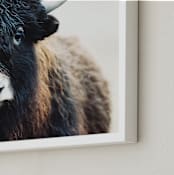 "Thomas Bangs" - Art Print in Black Brown by Amy Carroll - Frame Close-up
