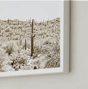 "Dusty Cacti" - Art Print in Dust by Lisa Assenmacher - Frame Close-up