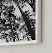 "In the Woods" - Art Print in black and white by lulu and isabelle - Frame Close-up