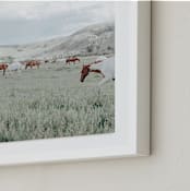 "Wander" - Art Print in Breezy by Sara Hicks Malone - Frame Close-up