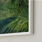 "A Deer Slept Here." - Art Print in Grass by DENiSE CREW. - Frame Close-up