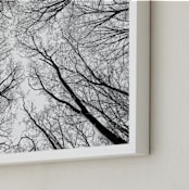 "Lost in the forest" - Art Print in Black and White by Magdalena Kucova - Frame Close-up