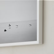 "Flight" - Art Print in Grey by Stephanie Sherman - Frame Close-up