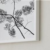 "Botanical Silhouette" - Art Print in Black and White by Kaitlin Rebesco - Frame Close-up