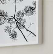 "Botanical Silhouette" - Art Print in Black and White by Kaitlin Rebesco - Frame Close-up