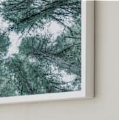 "Mystifying Forest" - Art Print in Forest Green by Jessica C Nugent - Frame Close-up