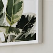 "Diane" - Art Print in Variegated Green by Kristi Jackson - Frame Close-up