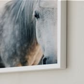 "Seeing" - Art Print in Mist by ALICIA BOCK - Frame Close-up