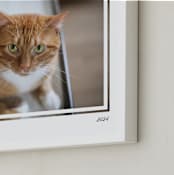 "Artifact: Landscape Framed Photo" - Framed Photo in Charcoal by Snow and Ivy - Frame Close-up