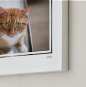 "Artifact: Landscape Framed Photo" - Framed Photo in Charcoal by Snow and Ivy - Frame Close-up