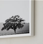 "Wild Oak" - Art Print in Slate gray by Lindsay Ferraris Photography - Frame Close-up