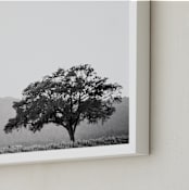 "Wild Oak" - Art Print in Slate gray by Lindsay Ferraris Photography - Frame Close-up