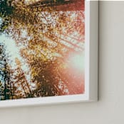 "Redwoods Surround Me" - Art Print in Forest Green by Elena Kulikova - Frame Close-up