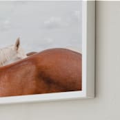 "peekaboo II" - Art Print in big sky by Sara Hicks Malone - Frame Close-up