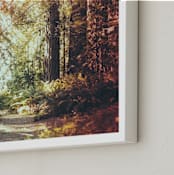 "Redwoods Path" - Art Print in Redwood Path by Elena Kulikova - Frame Close-up