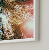 "Redwoods Surround Me" - Art Print in Forest Green by Elena Kulikova - Frame Close-up