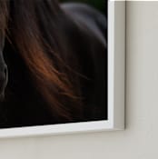 "Rocinante" - Art Print in Black by Amy Carroll - Frame Close-up