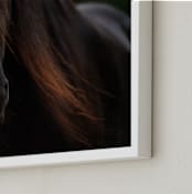 "Rocinante" - Art Print in Black by Amy Carroll - Frame Close-up