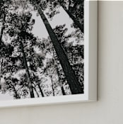 "In the Woods" - Art Print in black and white by lulu and isabelle - Frame Close-up