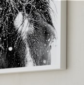 "End Of The Storm" - Art Print in Noir by Leslie Le Coq - Frame Close-up