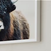 "Thomas Bangs" - Art Print in Black Brown by Amy Carroll - Frame Close-up