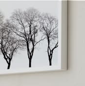 "abstract trees" - Art Print in ink by Baumbirdy - Frame Close-up