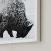 "Living Remnants of the Not-So-Distant Past" - Art Print in Black and White by Shannon Dunlap - Frame Close-up