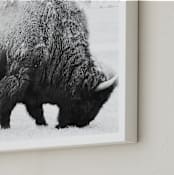 "Living Remnants of the Not-So-Distant Past" - Art Print in Black and White by Shannon Dunlap - Frame Close-up