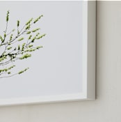 "Sun seeking" - Art Print in Green by Eliane Lamb - Frame Close-up