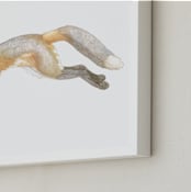 "Swift Fox" - Art Print in fox orange by Natalie Groves - Frame Close-up