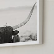 "Staredown" - Art Print in White by Amy Carroll - Frame Close-up