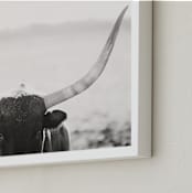 "Staredown" - Art Print in White by Amy Carroll - Frame Close-up